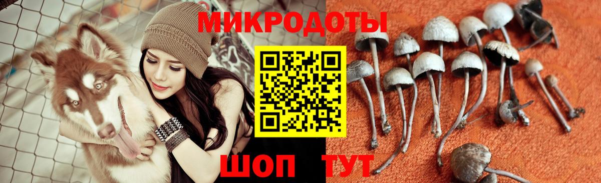 купить закладку  Галлюциногенные грибы Psilocybine cubensis  Вход с VPN  Чайковский 