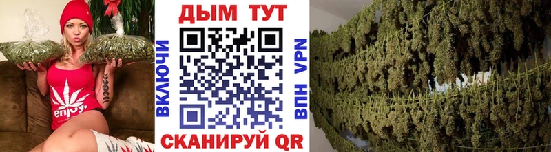 Бошки марихуана AK-47 Чайковский
