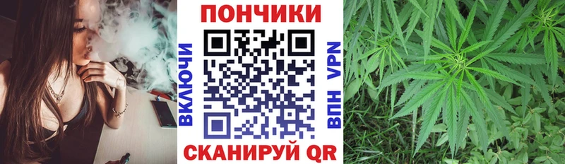 Бошки Шишки Amnesia  где можно купить наркотик  Чайковский 